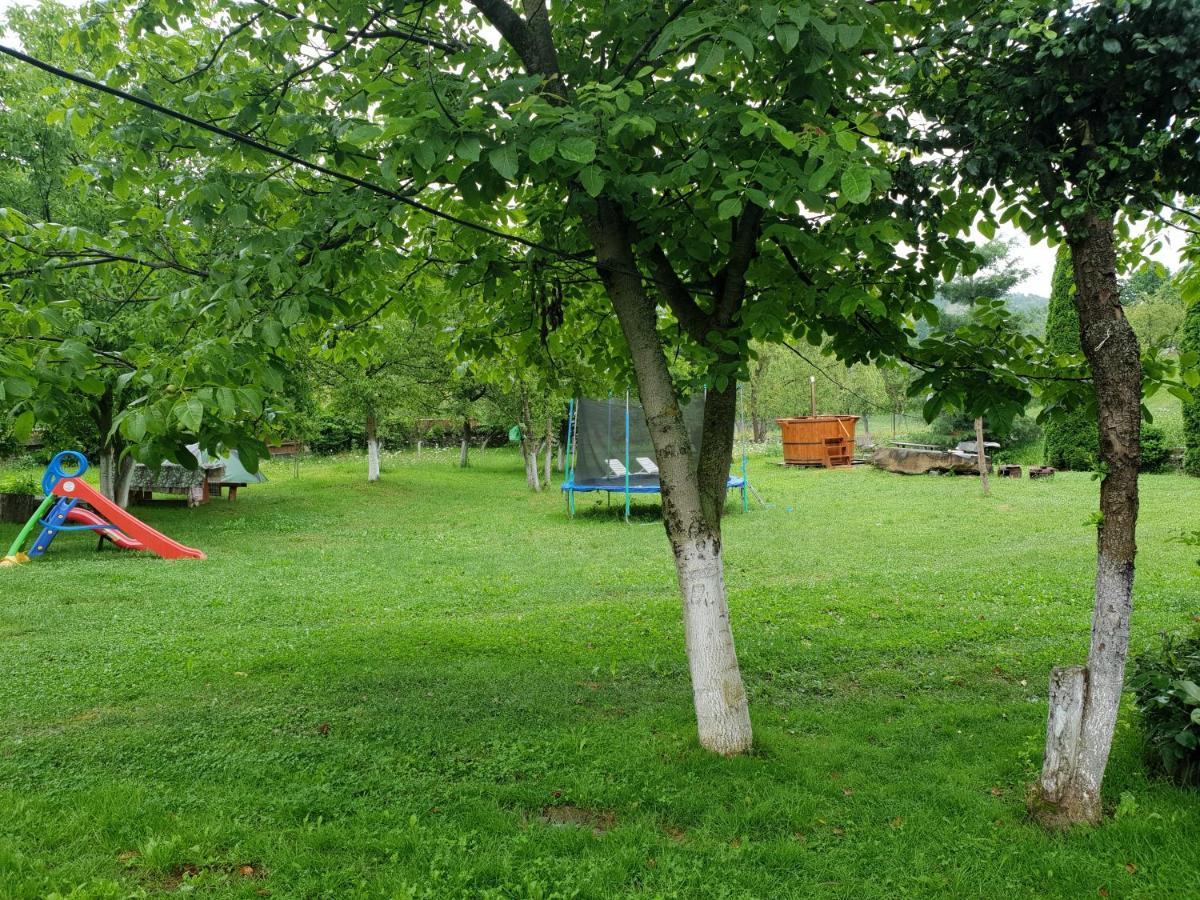 Pensiunea Ancuta Din Botiza Exterior foto