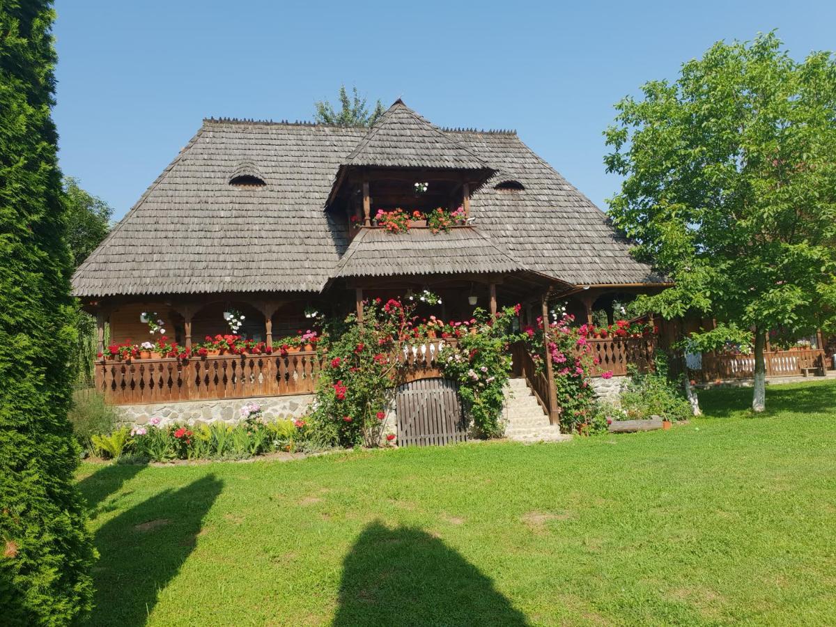 Pensiunea Ancuta Din Botiza Exterior foto