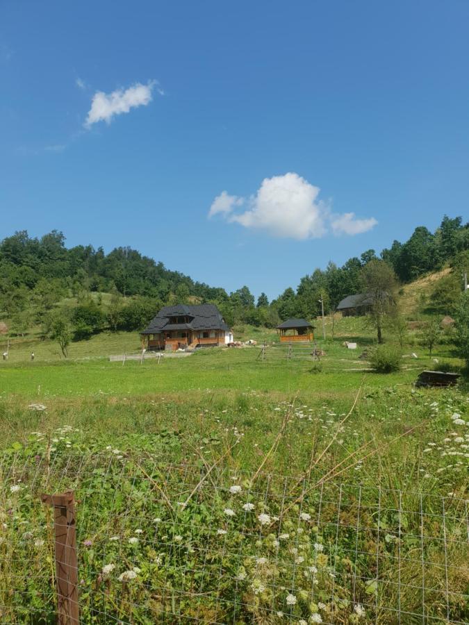 Pensiunea Ancuta Din Botiza Exterior foto