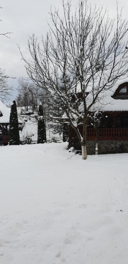 Pensiunea Ancuta Din Botiza Exterior foto