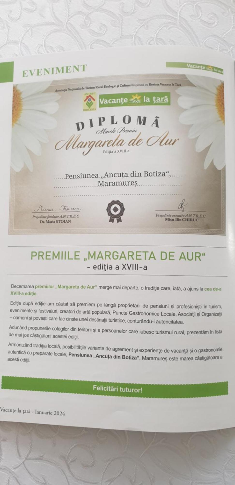 Pensiunea Ancuta Din Botiza Exterior foto