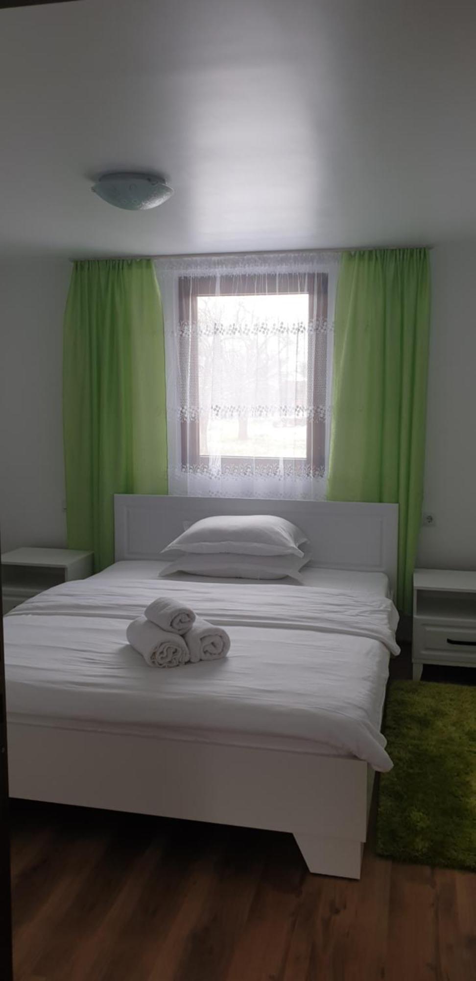 Pensiunea Ancuta Din Botiza Exterior foto
