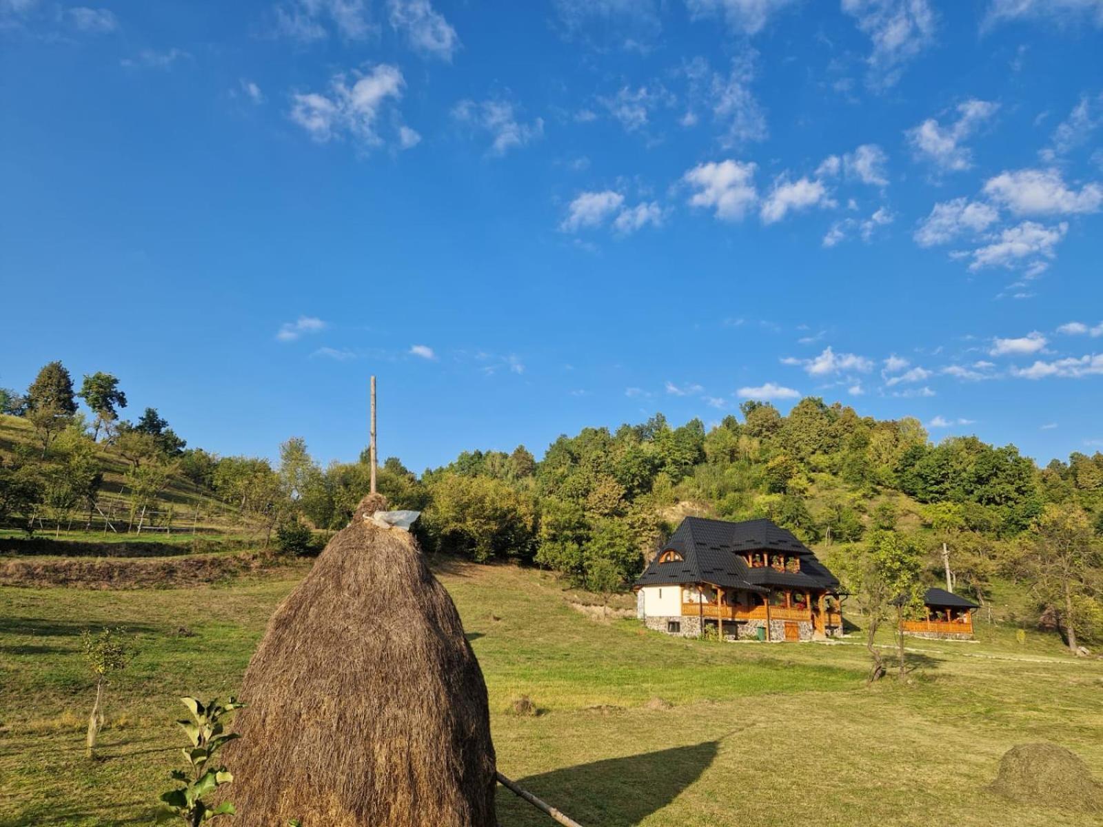Pensiunea Ancuta Din Botiza Exterior foto