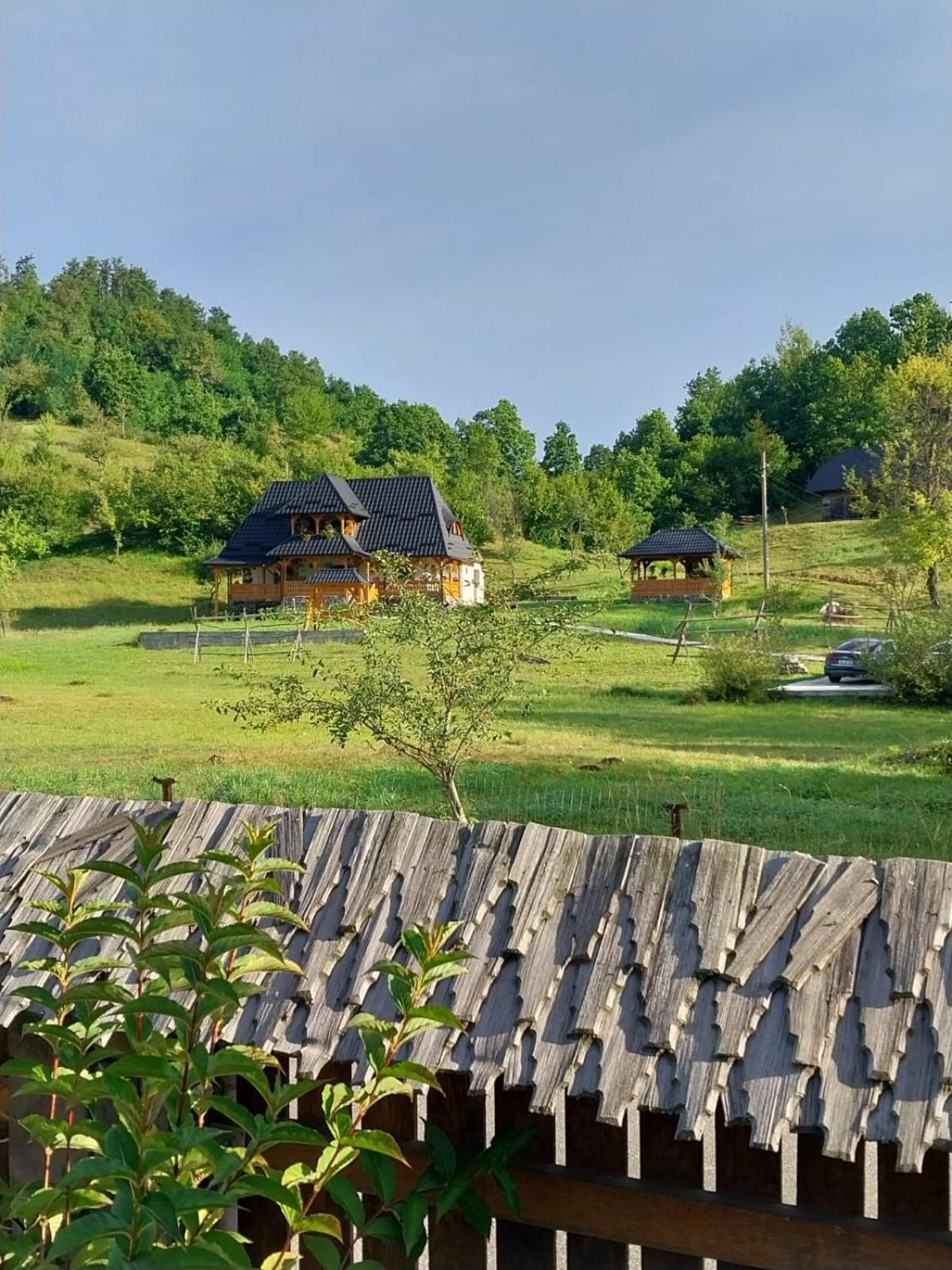 Pensiunea Ancuta Din Botiza Exterior foto