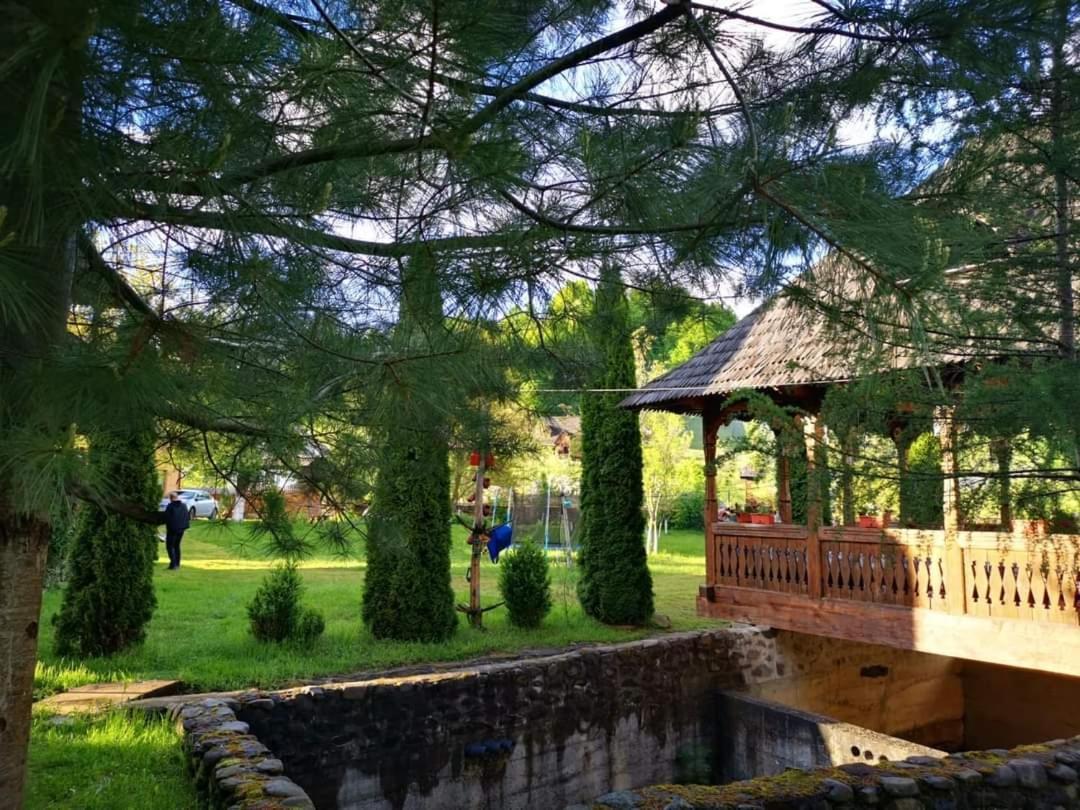 Pensiunea Ancuta Din Botiza Quarto foto