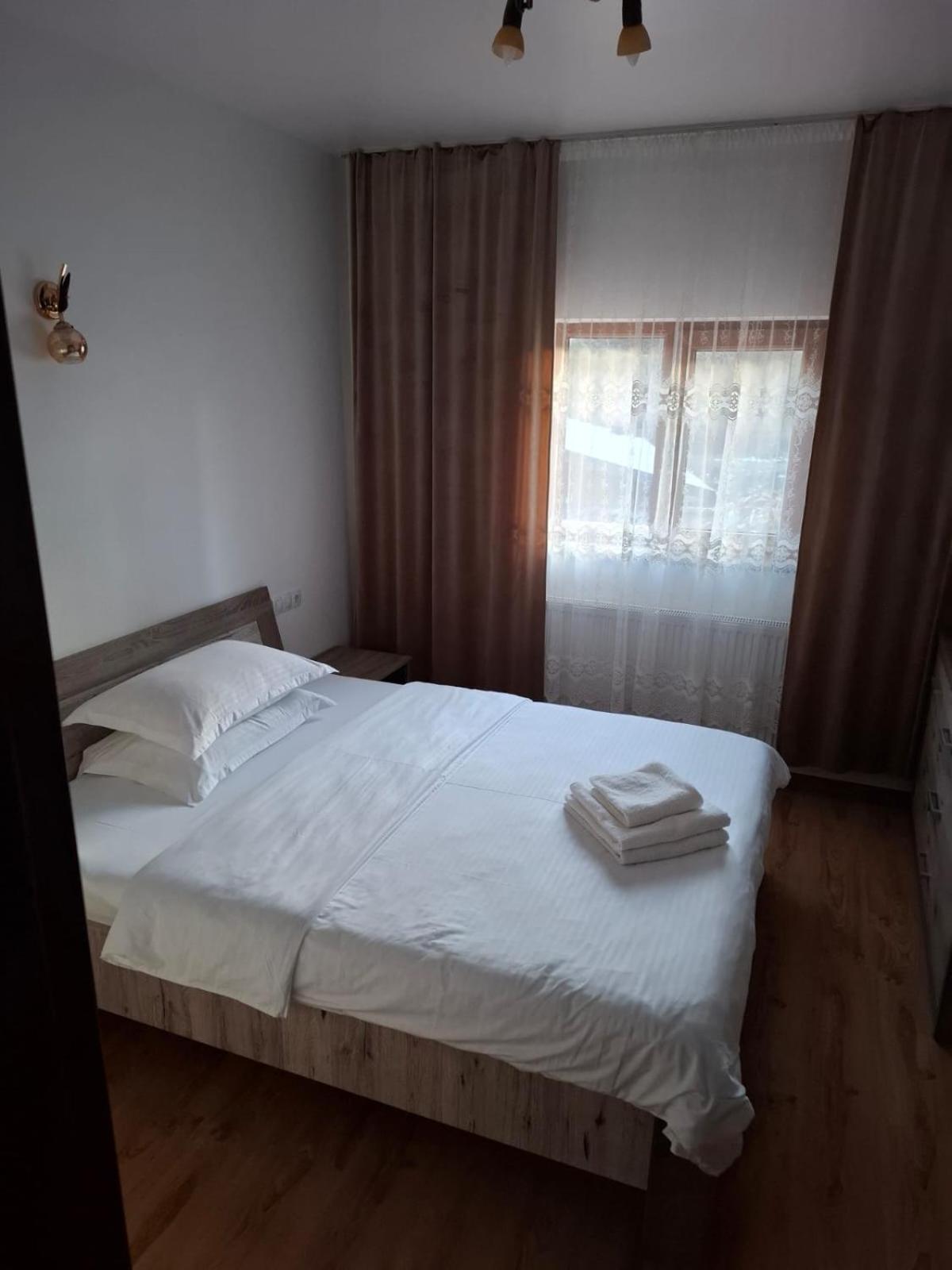 Pensiunea Ancuta Din Botiza Exterior foto